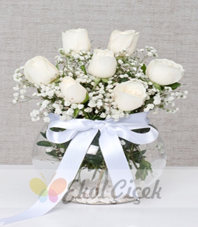 Beyaz Güller 7 li