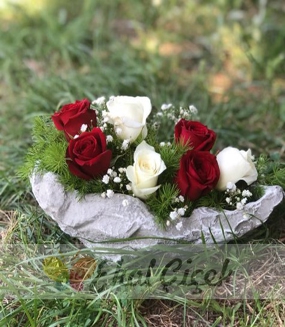 Kayıkta Kırmızı Beyaz Güller